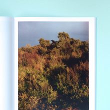 HARLEY WEIR Homes