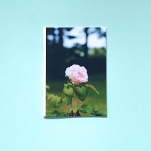 JOSHUA SMITH 28 Photographs for Newtown CT