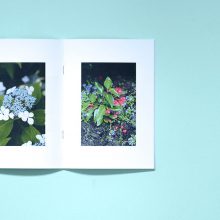 JOSHUA SMITH 28 Photographs for Newtown CT