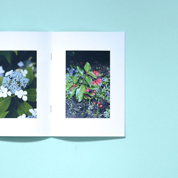 JOSHUA SMITH 28 Photographs for Newtown CT