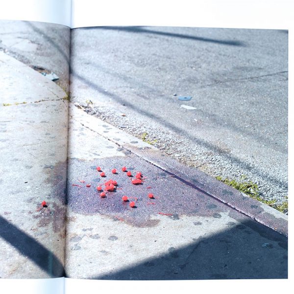 PAUL GRAHAM a shimmer of possibility