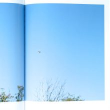 PAUL GRAHAM a shimmer of possibility