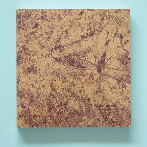 VANESSA WINSHIP And Time Folds