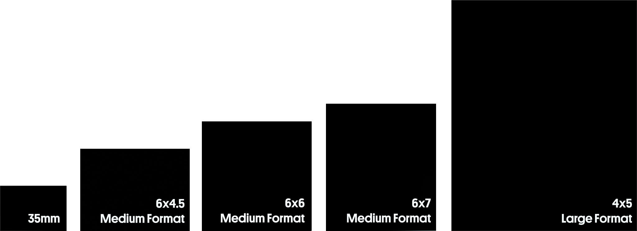 The absolute beginner's guide to film photography: Common film formats &  types: Digital Photography Review