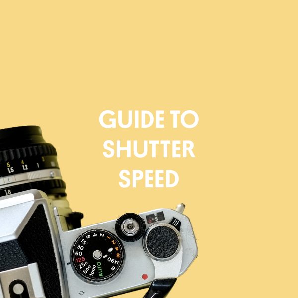 Guide To Film Speed - ISO - Parallax Photographic Coop