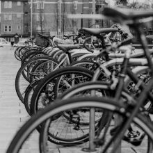 Ilford FP4 Plus 125 120 Film Review