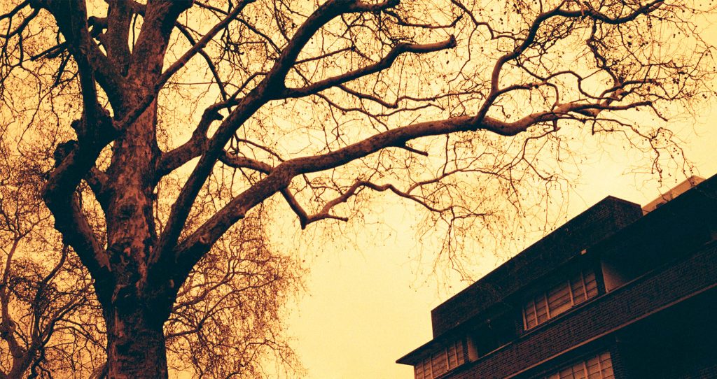 Here is our Redscale Kodak ColorPlus 200 Film Review