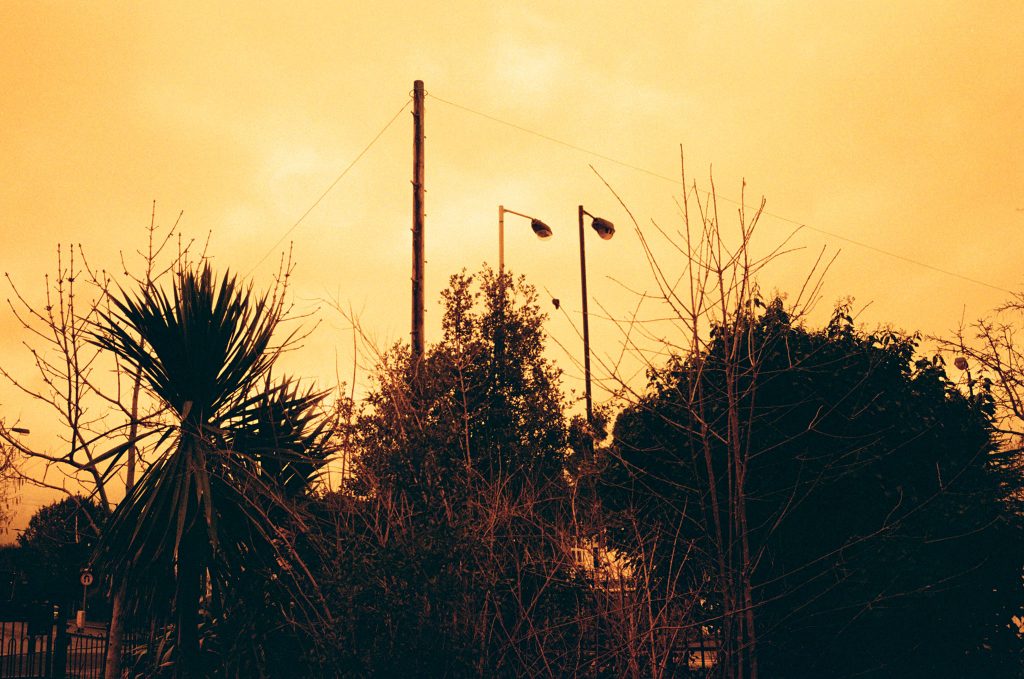 Here is our Redscale Kodak ColorPlus 200 Film Review. Lamposts and bushes