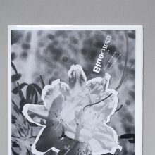 CHRIS GLICKMAN AND FAHIM KASSAM Blue Green