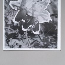 CHRIS GLICKMAN AND FAHIM KASSAM Blue Green