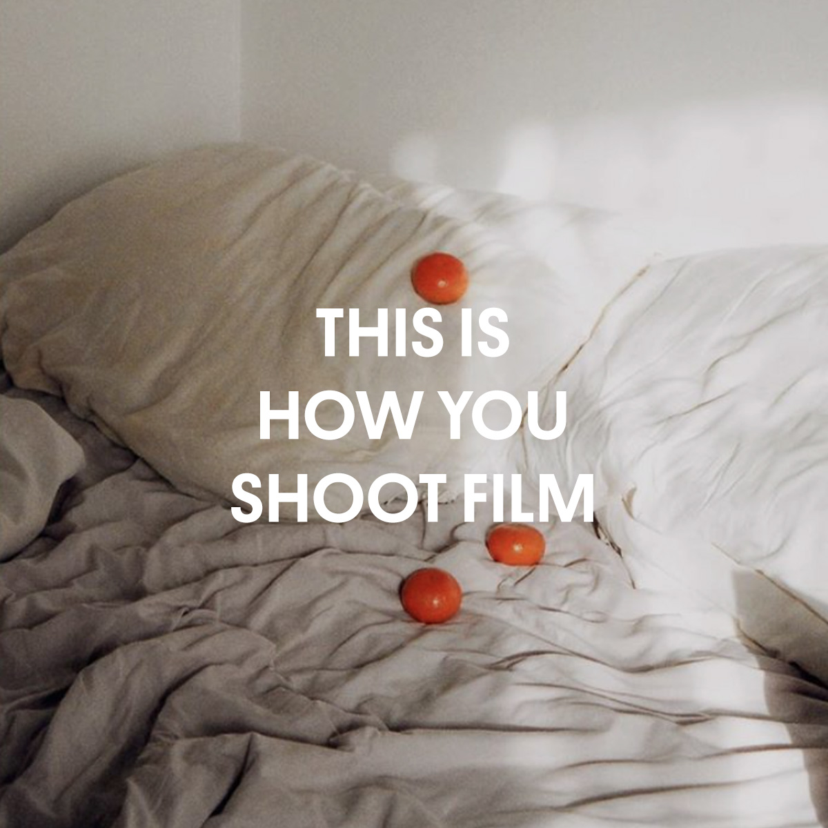 Beginners Guide To Film Photography Parallax Photographic Coop