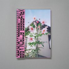 289 xrayfreeelectronlaser