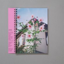 289 xrayfreeelectronlaser