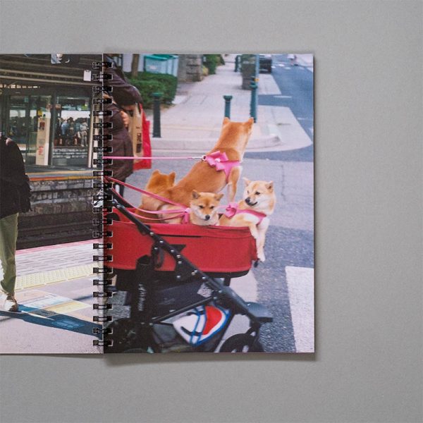 289 xrayfreeelectronlaser