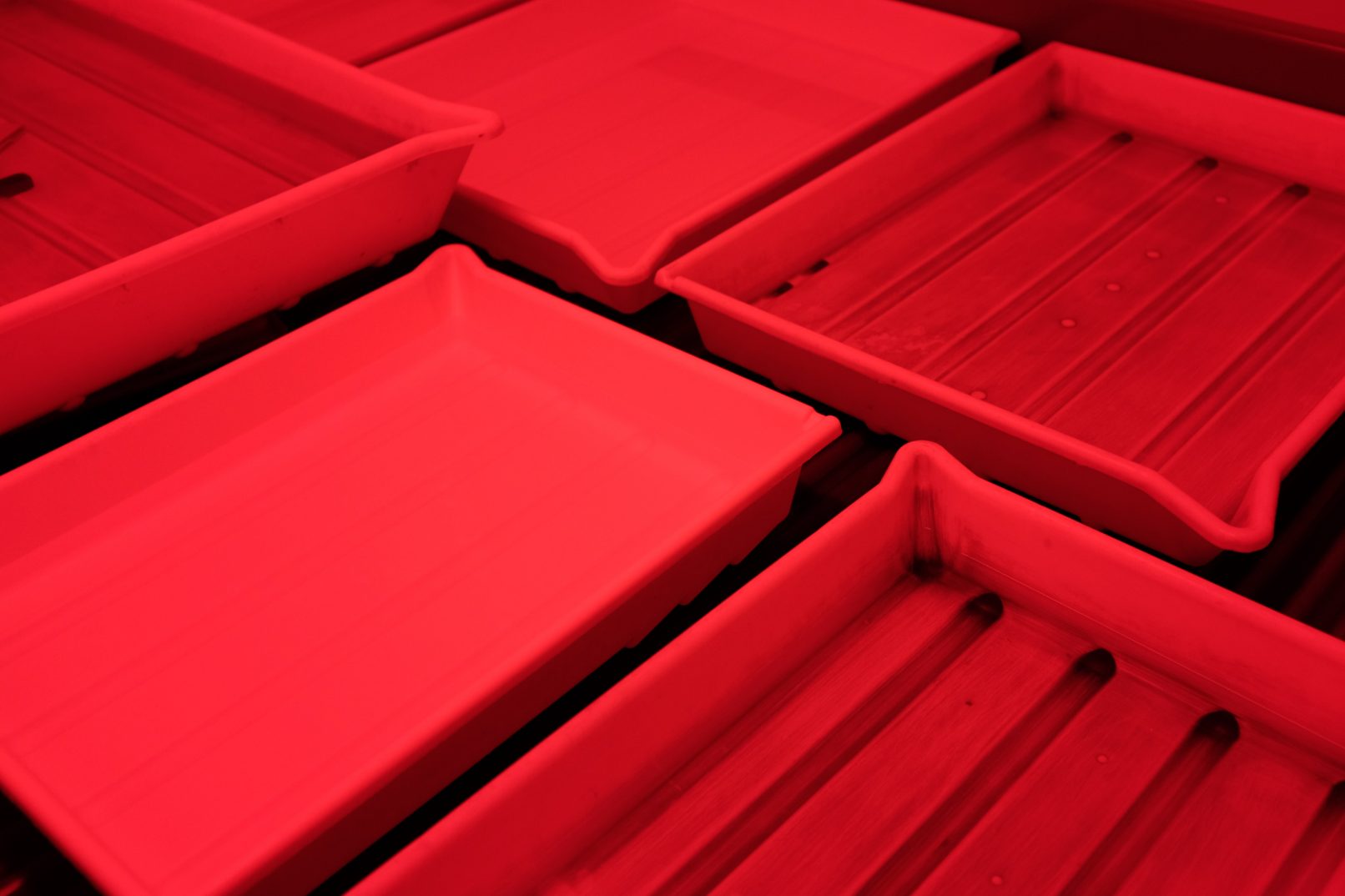 Beginners Guide To The Darkroom Parallax Photographic Coop