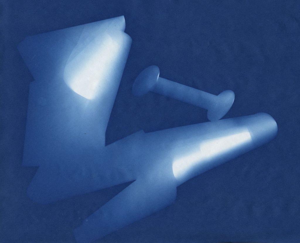 Cyanotype Paper Review 120 Film