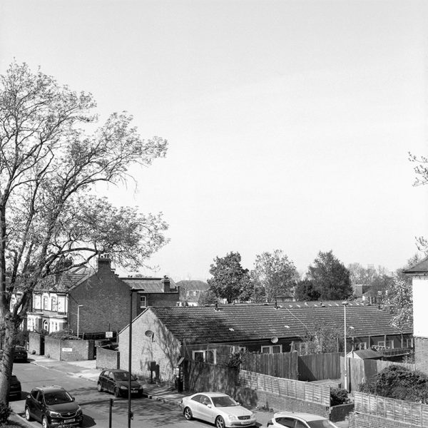 Ilford Ortho Plus 80 120 Film Review