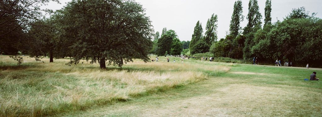 Kodak Portra 160 35mm Film Hyde Park