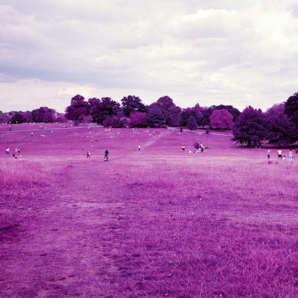 Lomography Lomochrome Purple 120 Film Lomography Lomochrome Purple 120 Film