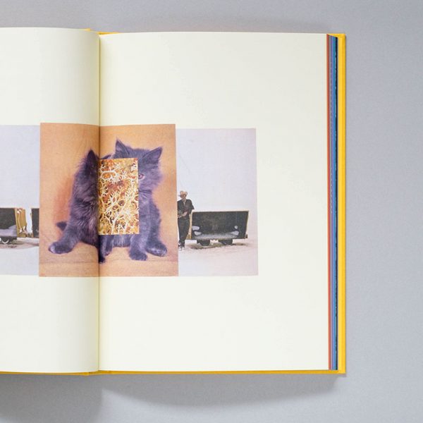 AIKATERINI GEGISIAN Handbook of the Spontaneous Other