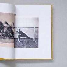 AIKATERINI GEGISIAN Handbook of the Spontaneous Other