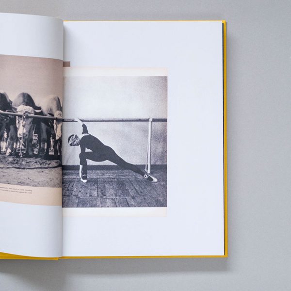 AIKATERINI GEGISIAN Handbook of the Spontaneous Other