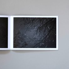 MELANIE KING Ancient Light 3 MELANIE KING Ancient Light