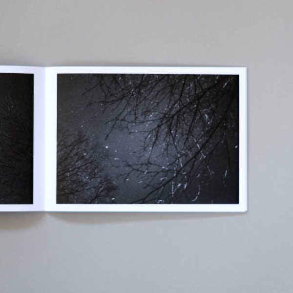 MELANIE KING Ancient Light 3 MELANIE KING Ancient Light