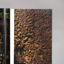 COLIN DODGSON Deeper Green 1 COLIN DODGSON Deeper Green