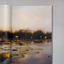 COLIN DODGSON Deeper Green 2 COLIN DODGSON Deeper Green