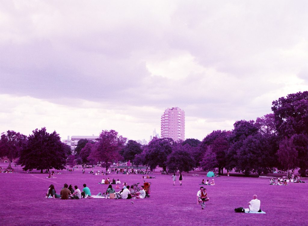 Lomography Lomochrome Puple XR 100 400 Fuji GA645i