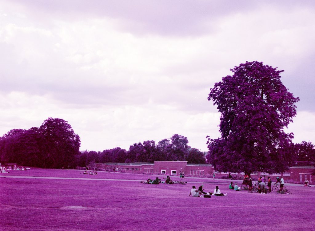 Lomography Purple Brockwell Park Lido