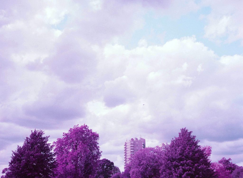 Lomochrome Purple Aerochrome Brockwell Park