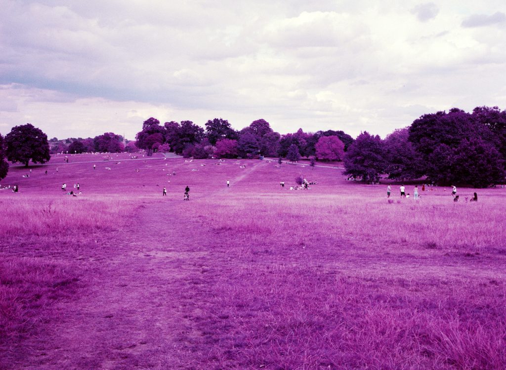 Lomography Lomochrome Puple XR 100 400 Fuji GA645i