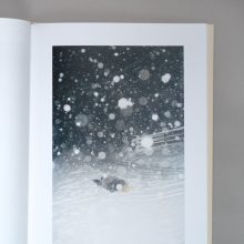 OLA RINDAL Thujord 1 OLA RINDAL Thujord