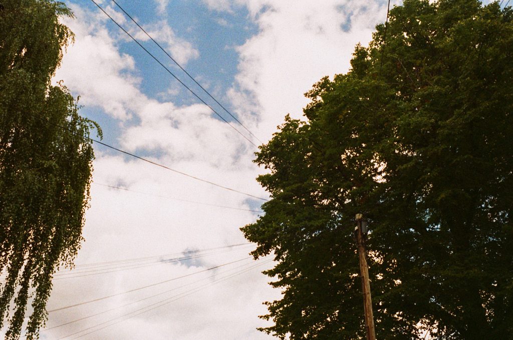 Expired Kodak Film Review Telephone Wires Trees