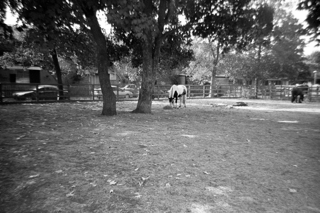 kentmere pan 400 film