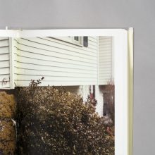 RAYMOND MEEKS Ciprian Honey Cathedral