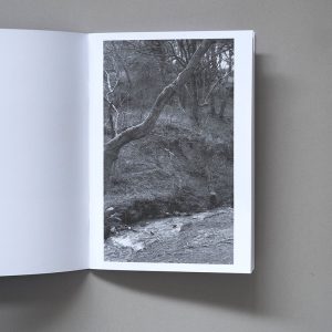 SAM CAPRON 13 Ways of Looking at a Blackbird
