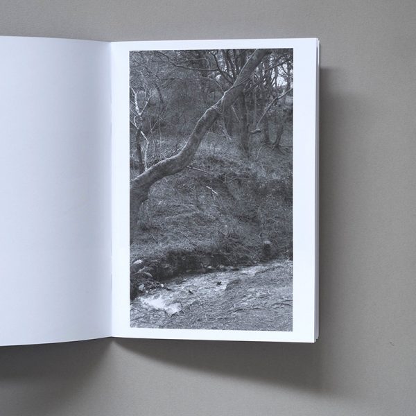 SAM CAPRON 13 Ways of Looking at a Blackbird 2 SAM CAPRON 13 Ways of Looking at a Blackbird