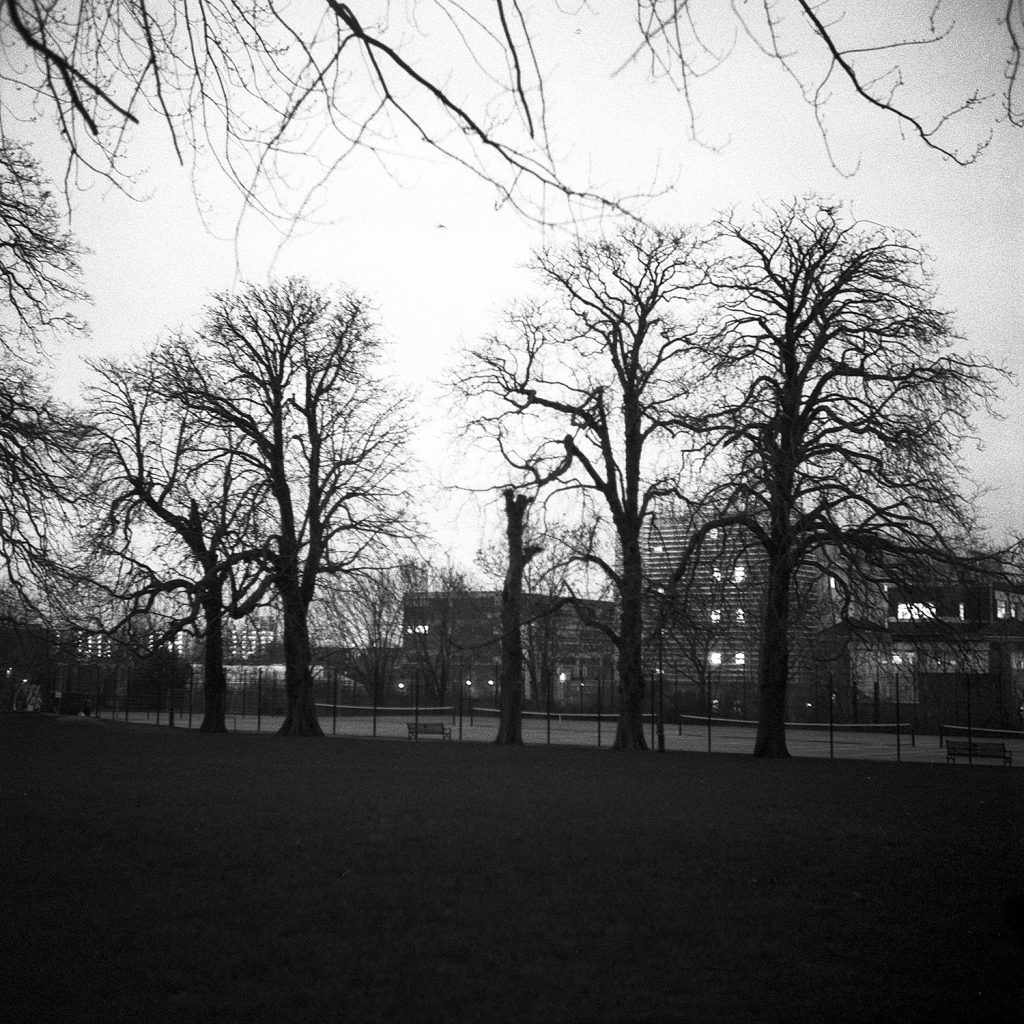 Ilford Delta 3200 Yashica Denmark Hill 12