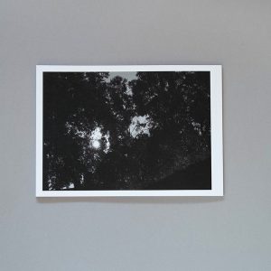 MELANIE KING Lunar Portraits