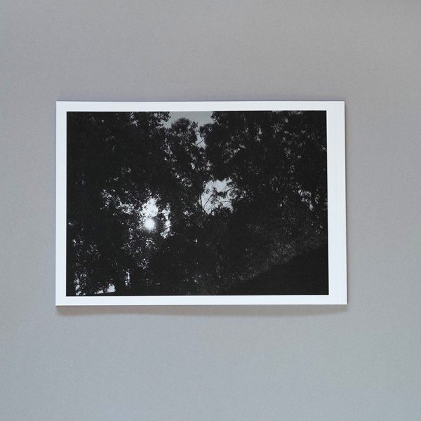 MELANIE KING Lunar Portraits 3 MELANIE KING Lunar Portraits