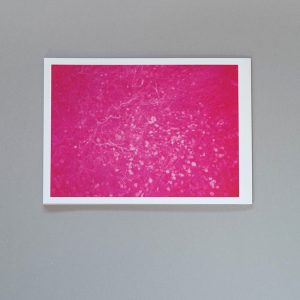 MELANIE KING Wavelengths