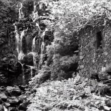 Washi Z 400 35mm Film Washi Z 400 35mm Film