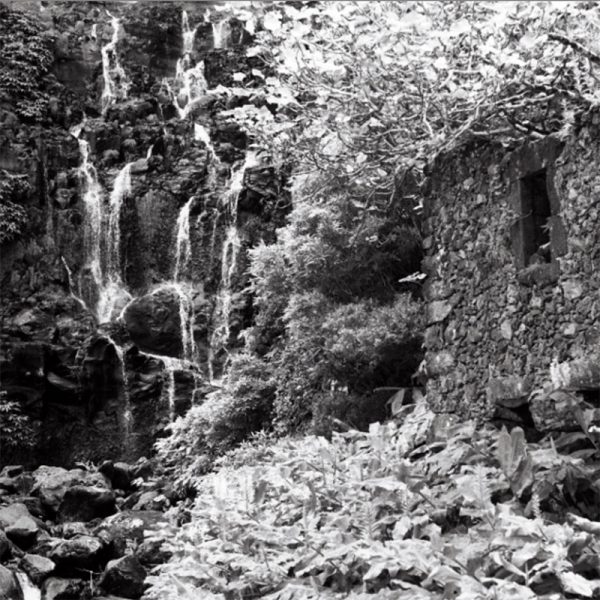 Washi Z 400 35mm Film Washi Z 400 35mm Film