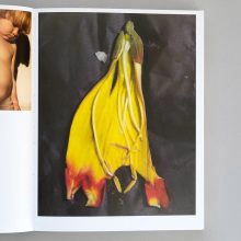 Still Life 2 Still Life