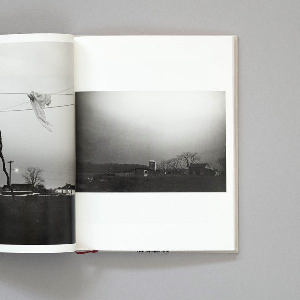 JOHN COHEN Do Not Disturb My Waking Dream