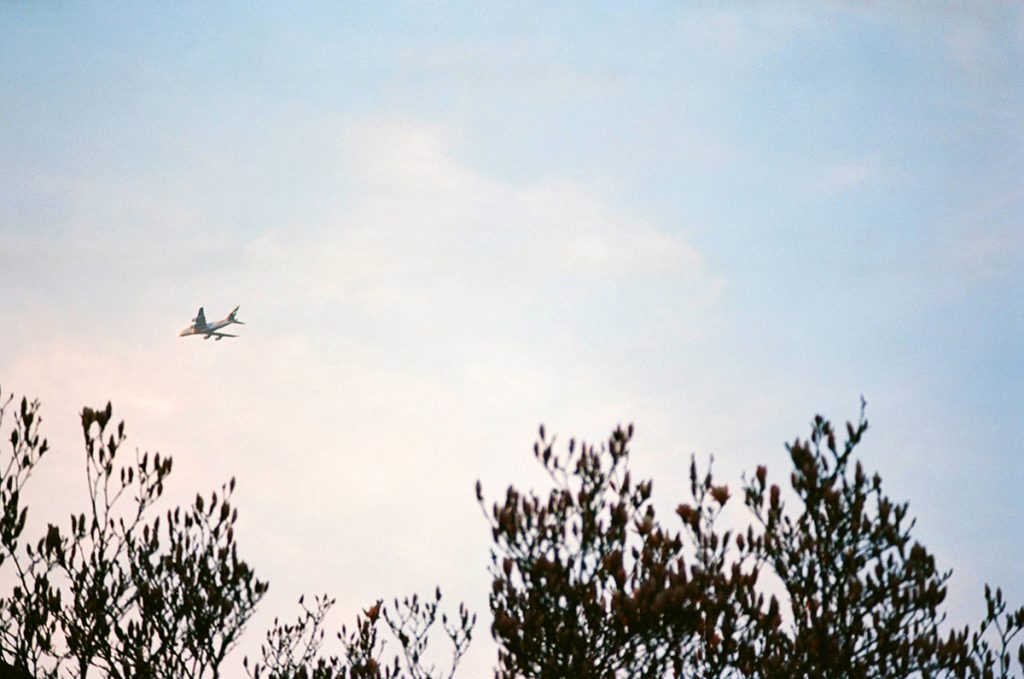 Airplane against clouds and trees Kodak Ektar 100