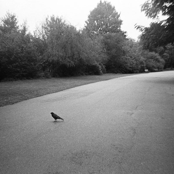 AgfaPhoto APX 400 Film Review Agfa Reusable